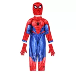 Disney Store Spider-Man Costume For Kids
