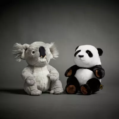 National Geographic Koala Joey Medium Soft Toy 4 National Geographic Koala Joey Medium Soft Toy - Image 2