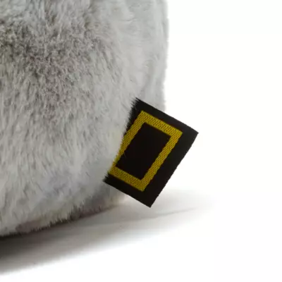 National Geographic Koala Joey Medium Soft Toy 7 National Geographic Koala Joey Medium Soft Toy - Image 5