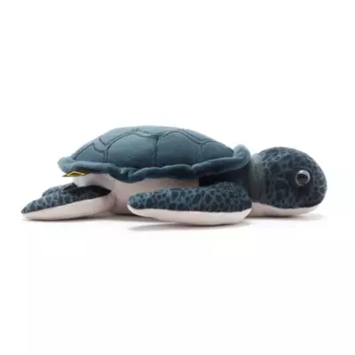 National Geographic Green Sea Turtle Medium Soft Toy 8 National Geographic Green Sea Turtle Medium Soft Toy - Image 6