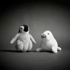 National Geographic Harp Seal Pup Medium Soft Toy 8 National Geographic Harp Seal Pup Medium Soft Toy -Disney 412303312962 1