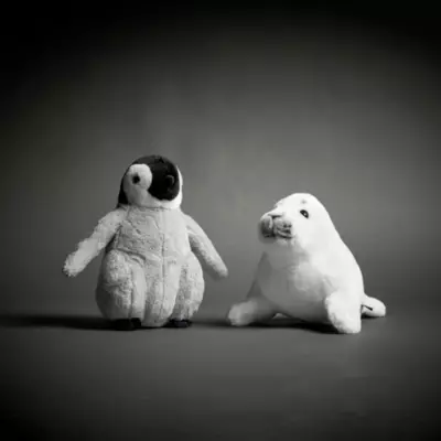 National Geographic Harp Seal Pup Medium Soft Toy 4 National Geographic Harp Seal Pup Medium Soft Toy - Image 2