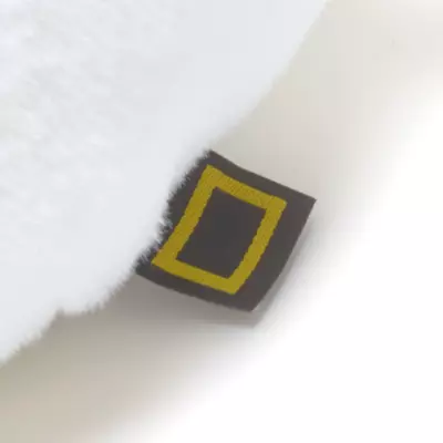 National Geographic Polar Bear Cub Medium Soft Toy 7 National Geographic Polar Bear Cub Medium Soft Toy - Image 5