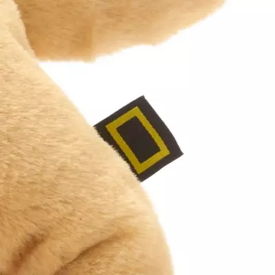 National Geographic Lion Cub Medium Soft Toy 7 National Geographic Lion Cub Medium Soft Toy - Image 5