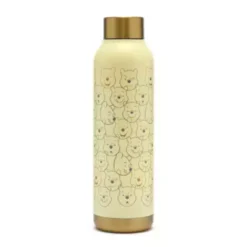 Disney Store Winnie The Pooh Stainless Steel Water Bottle