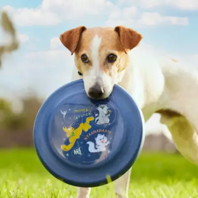 Disney Store Disney Dogs Dog Disc Toy 4 Disney Store Disney Dogs Dog Disc Toy - Image 2