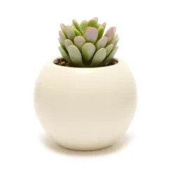 Disney Store Baymax Artificial Potted Plant, Big Hero 6 9 Disney Store Baymax Artificial Potted Plant, Big Hero 6 -Disney 465043353962 2
