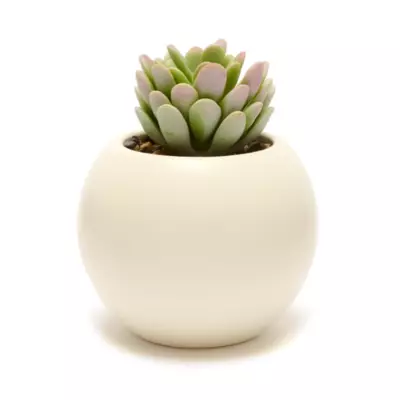Disney Store Baymax Artificial Potted Plant, Big Hero 6 5 Disney Store Baymax Artificial Potted Plant, Big Hero 6 - Image 3