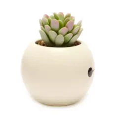 Disney Store Baymax Artificial Potted Plant, Big Hero 6 10 Disney Store Baymax Artificial Potted Plant, Big Hero 6 -Disney 465043353962 3
