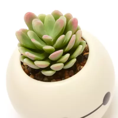 Disney Store Baymax Artificial Potted Plant, Big Hero 6 7 Disney Store Baymax Artificial Potted Plant, Big Hero 6 - Image 5