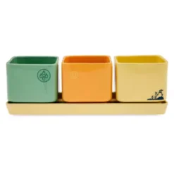 Disney Store WALL-E And EVE Herb Planter Set 10 Disney Store WALL-E And EVE Herb Planter Set -Disney 465043677044 3