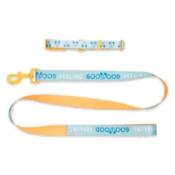 Disney Store Mickey Mouse Collar And Lead For Dogs