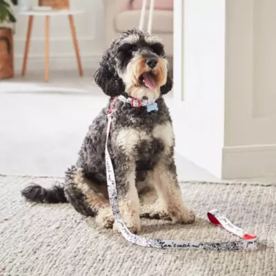 Disney Store 101 Dalmatians Lead For Dogs 5 Disney Store 101 Dalmatians Lead For Dogs - Image 3