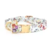 Disney Store Disney Rabbits Dog Collar And Lead Set 1 Disney Store Disney Rabbits Dog Collar And Lead Set -Disney 6504051700399M
